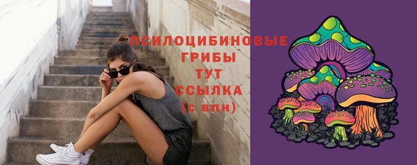 дживик Волоколамск