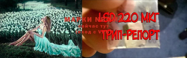 дживик Волоколамск