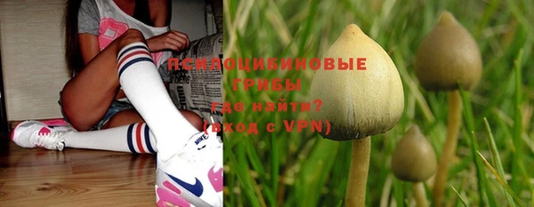 прущая мука Бородино