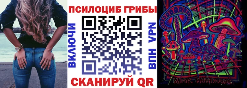 Псилоцибиновые грибы Psilocybe Елизово