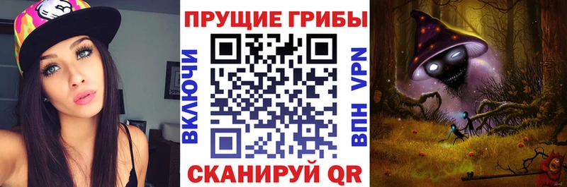 купить наркоту  Елизово  Галлюциногенные грибы Magic Shrooms 